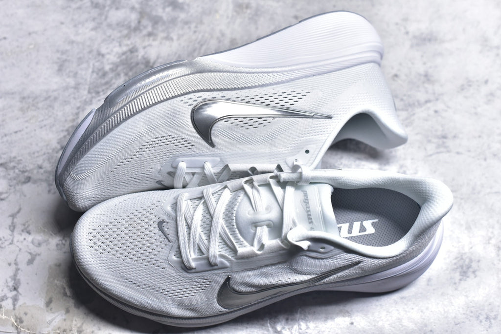 Nike Pegasus 42 — White / Metallic Silver / Pure Platinum